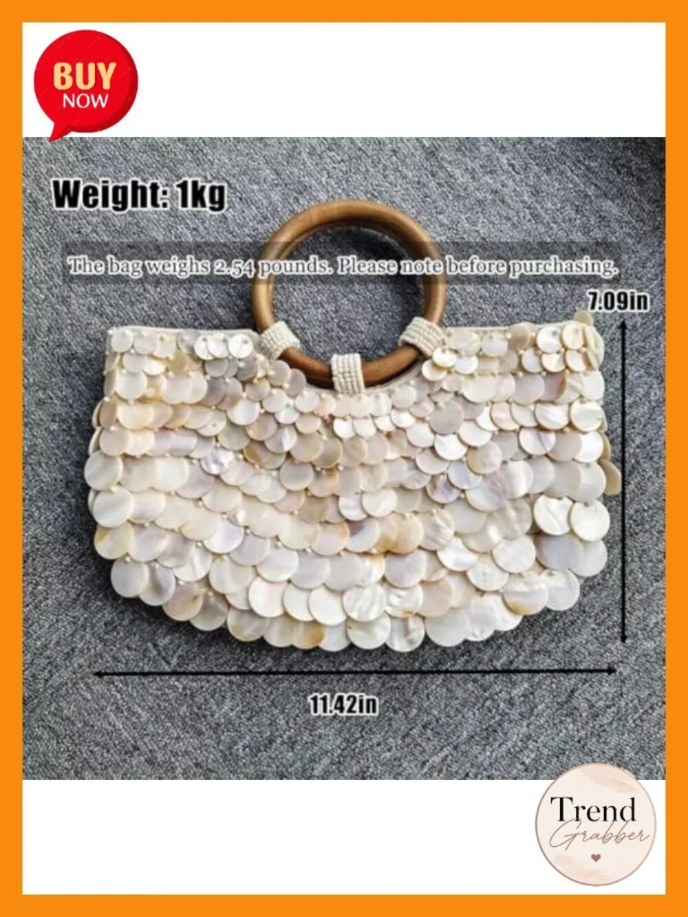 Handmade Shell Beaded Clutch Purse with Chain Shoulder Strap